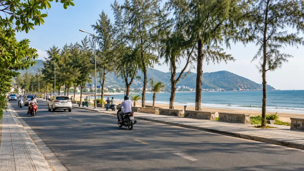 Hàng cây ven biển Cửa Lò nhìn từ xe khi đi từ sân bay ra khu du lịch